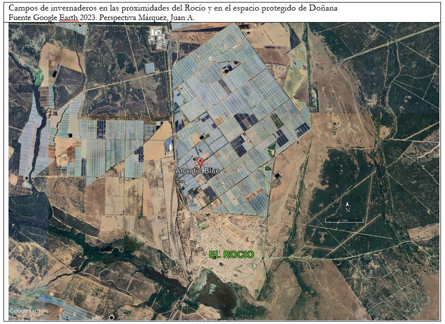 Lucro cesante en la Comarca de Doñana. Una estimación heterodoxa entre necesidades internacionales y realidades locales